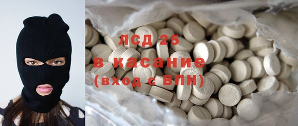 ПСИЛОЦИБИНОВЫЕ ГРИБЫ Арсеньев