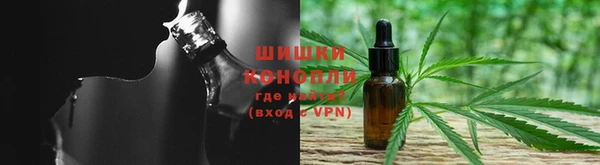 ПСИЛОЦИБИНОВЫЕ ГРИБЫ Арсеньев