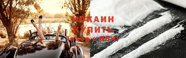 ПСИЛОЦИБИНОВЫЕ ГРИБЫ Арсеньев