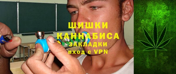 ПСИЛОЦИБИНОВЫЕ ГРИБЫ Арсеньев